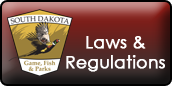 Laws & Regulations