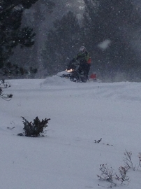 another photo from Dawn Oyen