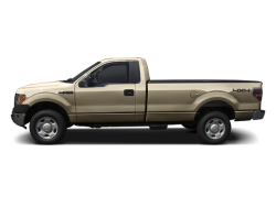 2009 FORD F-150 