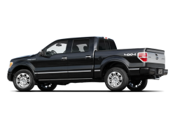 2009 FORD F150 - Rear View