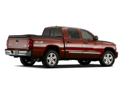 2010 DODGE DAKOTA - Rear View