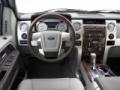 2010 FORD F150