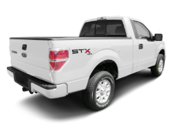 2010 FORD F150  - Rear View