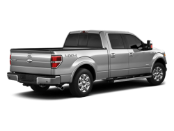 2013 FORD F-150  - Rear View